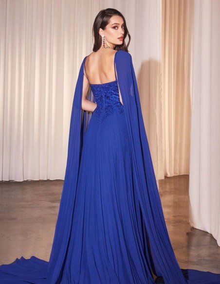 Longue robe d'invité avec corsage brodé et jupe plissée