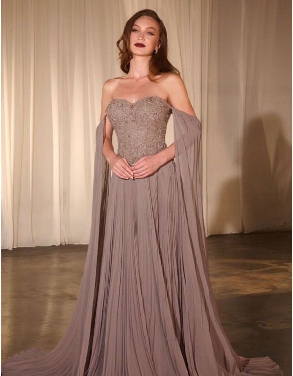 Long dress for guest with embroidered bodice and pleated...