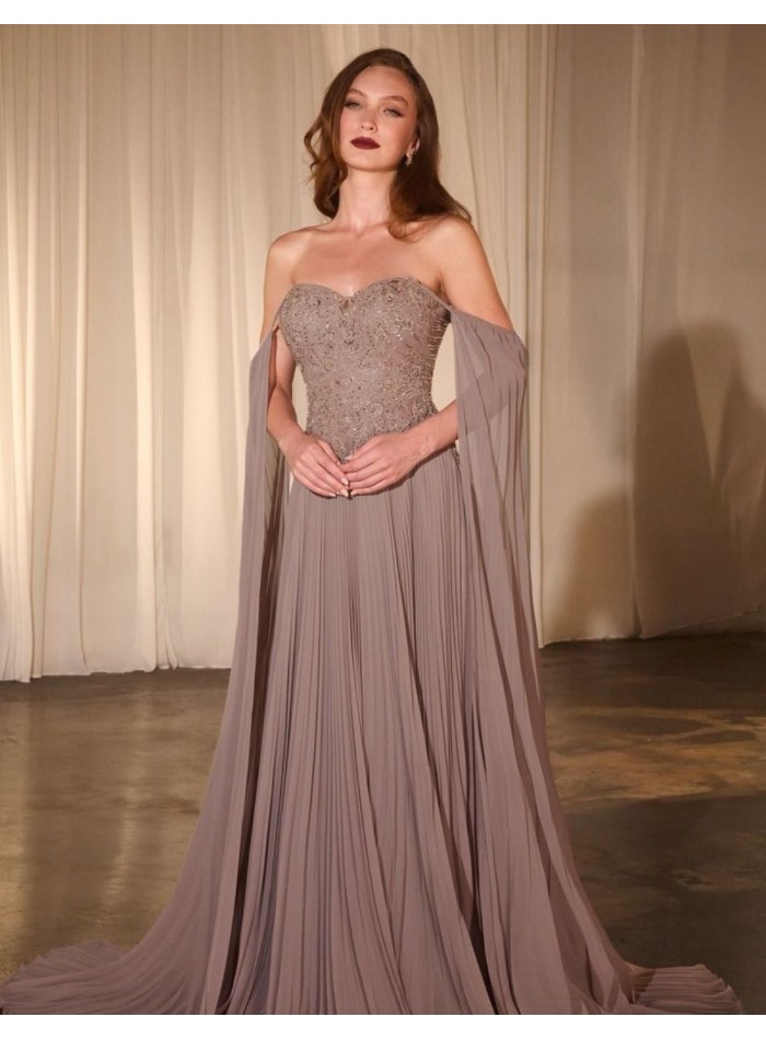 Long dress for guest with embroidered bodice and pleated skirt