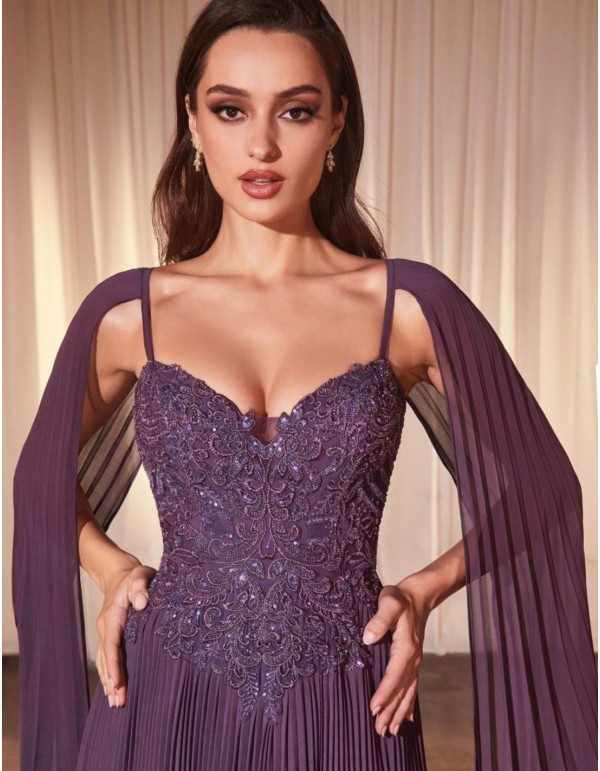 Longue robe d'invité avec corsage brodé et jupe plissée 2