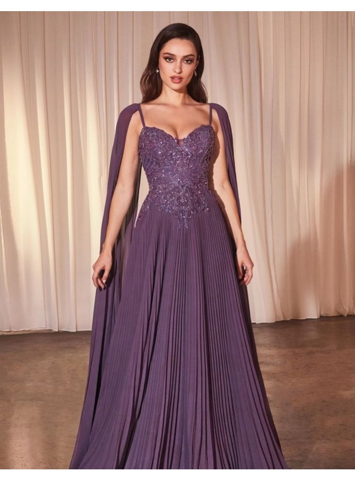 Long dress for guest with embroidered bodice and pleated skirt