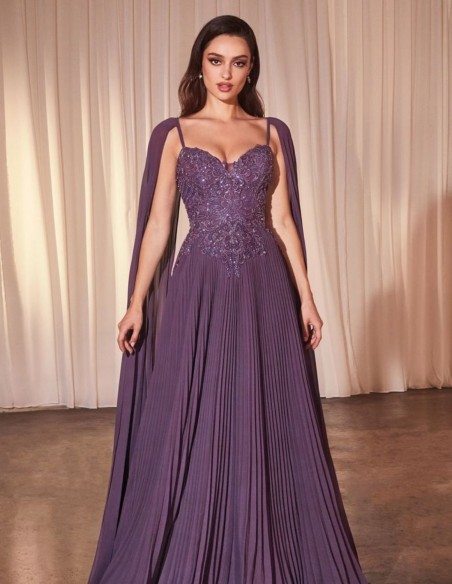 Long dress for guest with embroidered bodice and pleated skirt