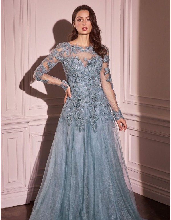 Long dress for guest with embroidered bodice and tulle skirt 2