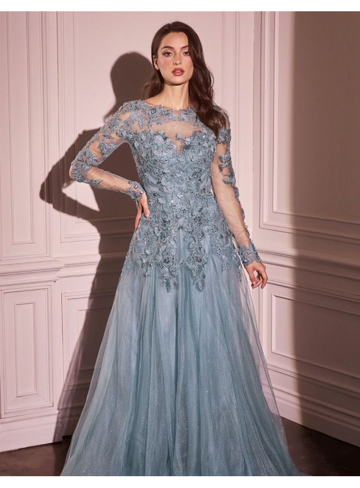 Long dress for guest with embroidered bodice and tulle skirt