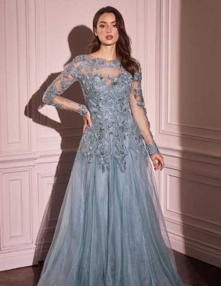 Long dress for guest with embroidered bodice and tulle skirt