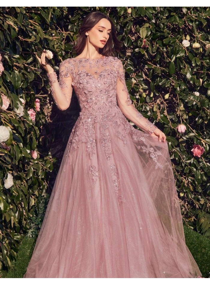 Long dress for guest with embroidered bodice and tulle skirt