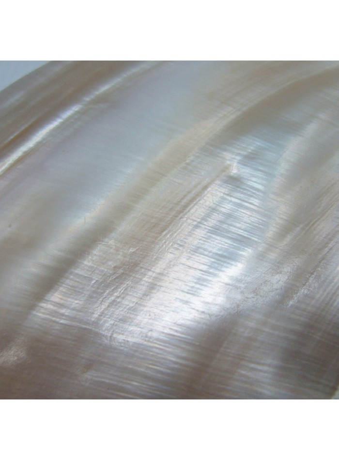 Sterling silver circular party earrings with...