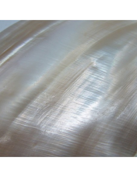 Sterling silver circular party earrings with pearls