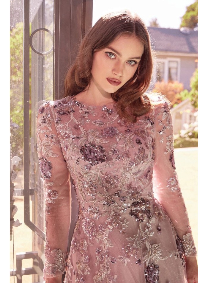 Robe de soirée semi-transparente à manches longues avec strass