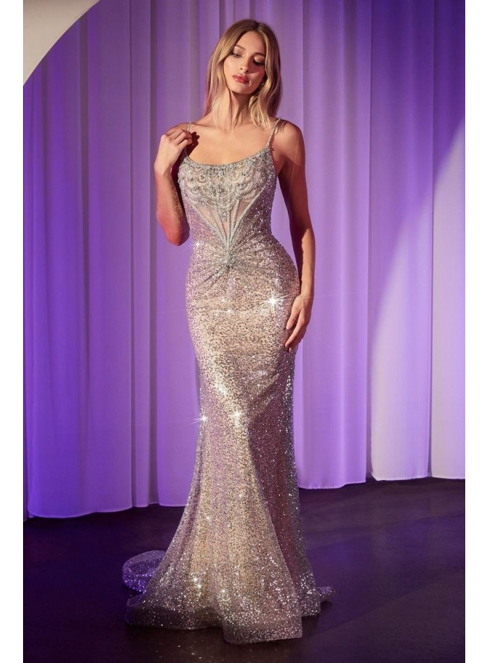 Long gown with nude and silver rhinestones and crystals