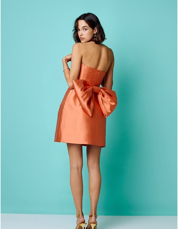 Short party dress with detachable bodice and lacing