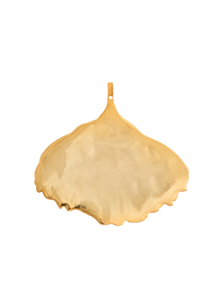 Golden earrings with leaf shape