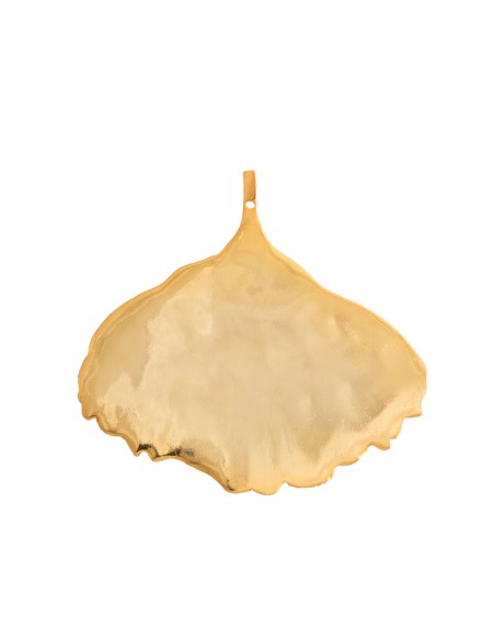 Golden earrings with leaf shape