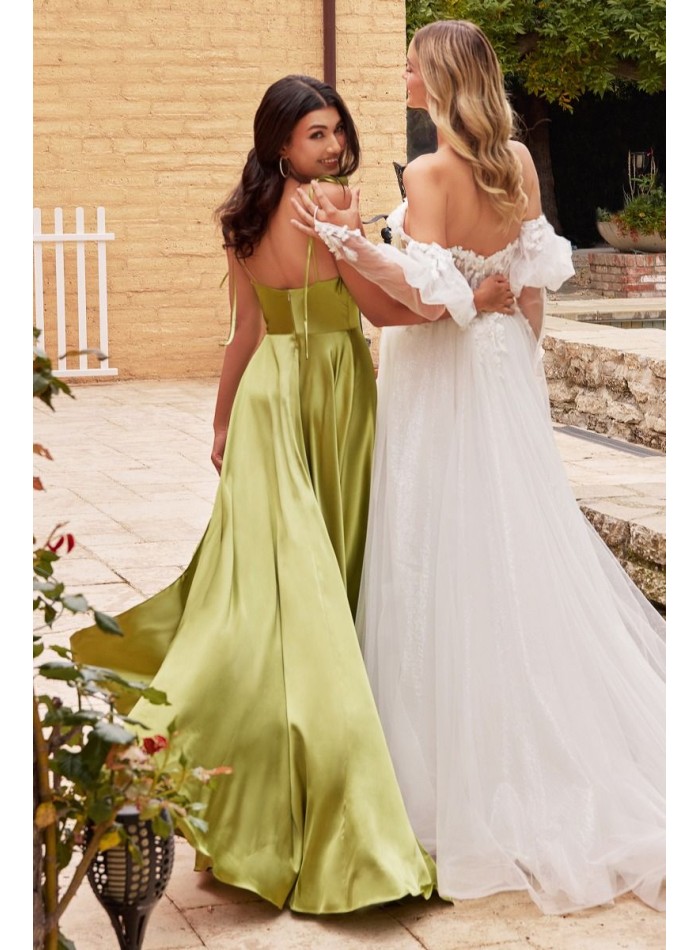 Sanitized long gown  with floaty skirt and...