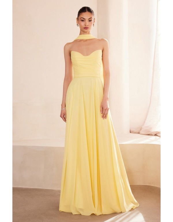 Robe d'invité longue et sans bretelles avec châle assorti 2