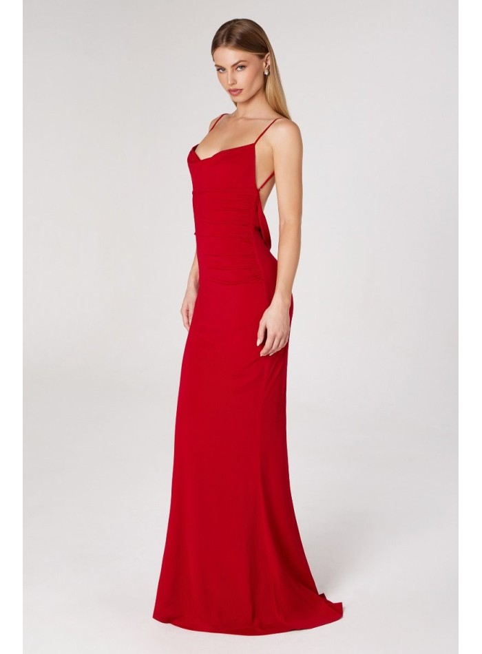 Fitted long maxi dress with open back and lace detail