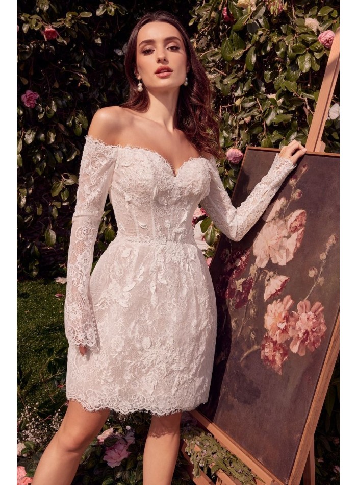 Vestido de novia corto con encaje y manga larga...