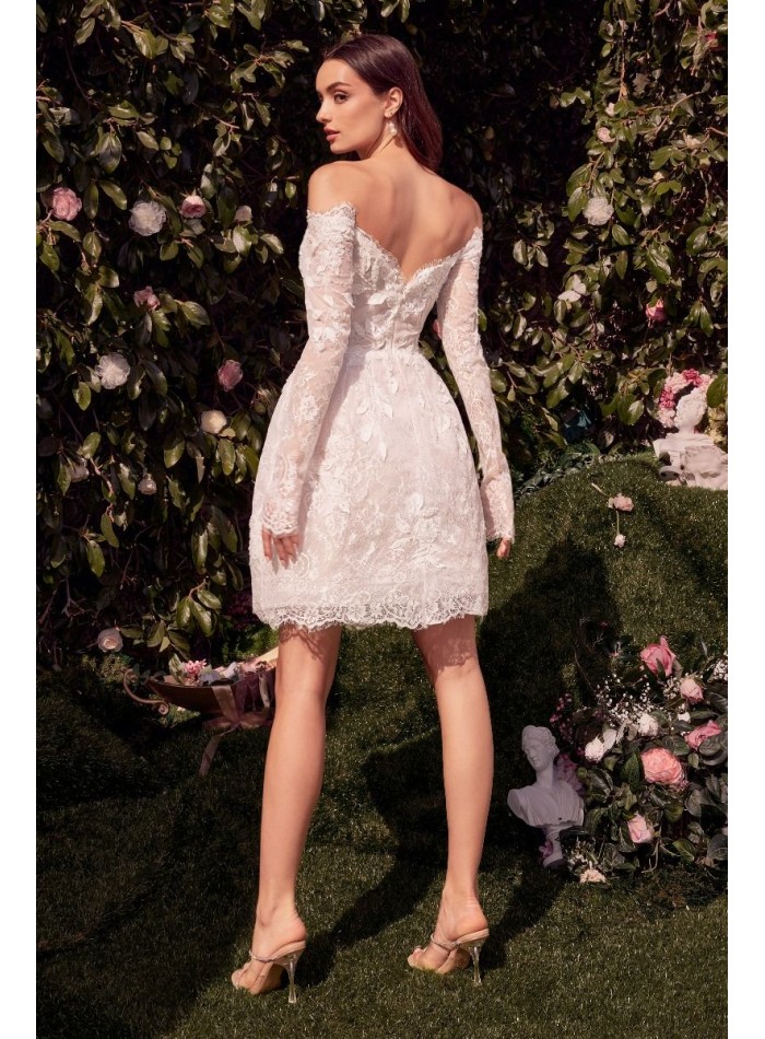 Vestido de novia corto con encaje y manga larga...