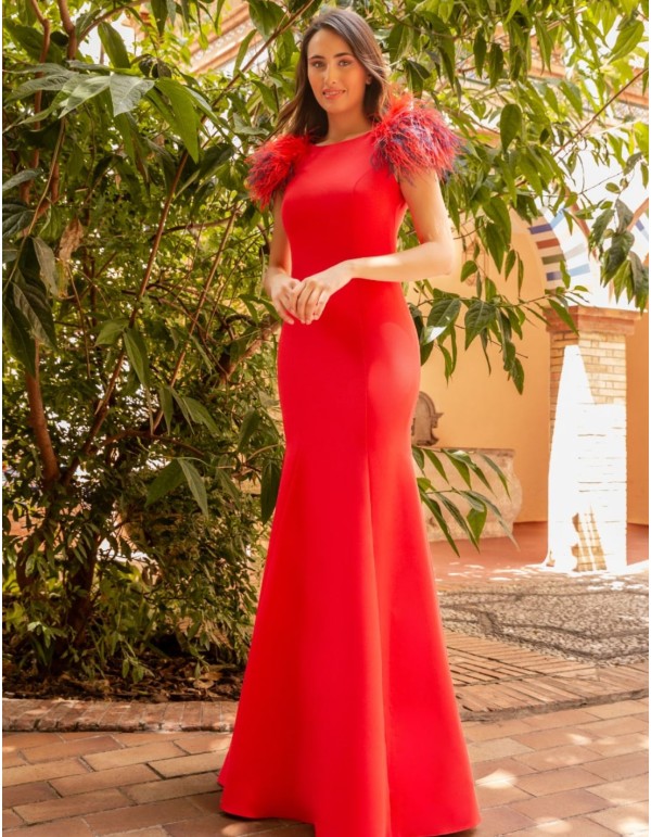 Long dress with feather detail and open back 2