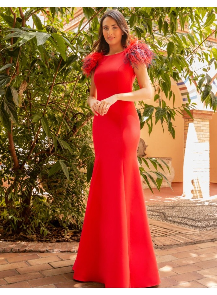 Long dress with feather detail and open back