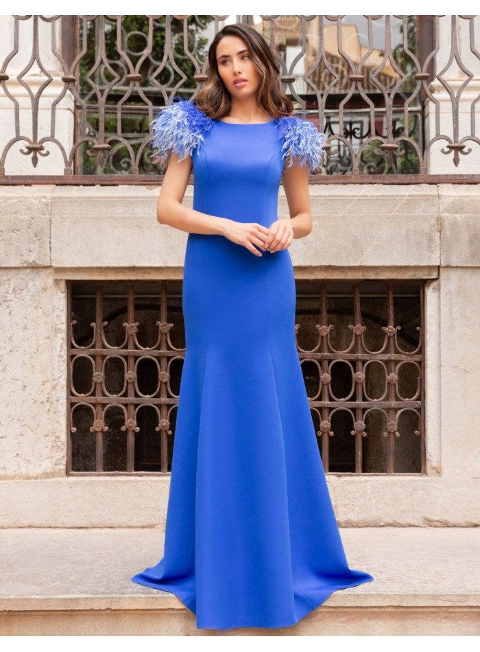 Robe longue avec plumes et dos ouvert
