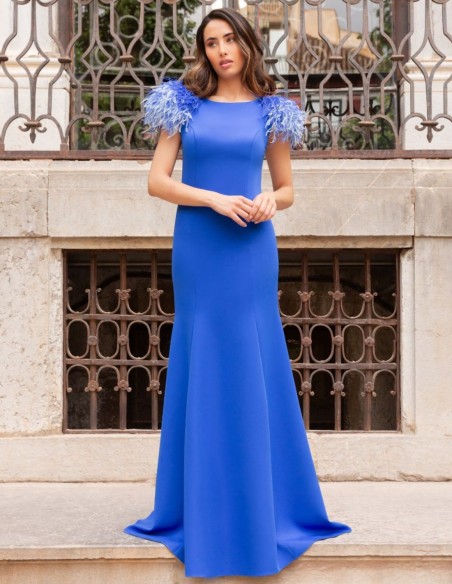 Long dress with feather detail and open back