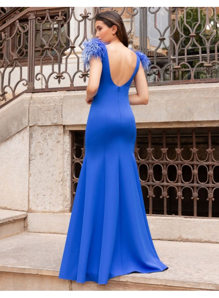 Robe longue avec plumes et dos ouvert