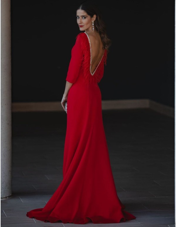 Long dress with feather and rhinestone detail on the back