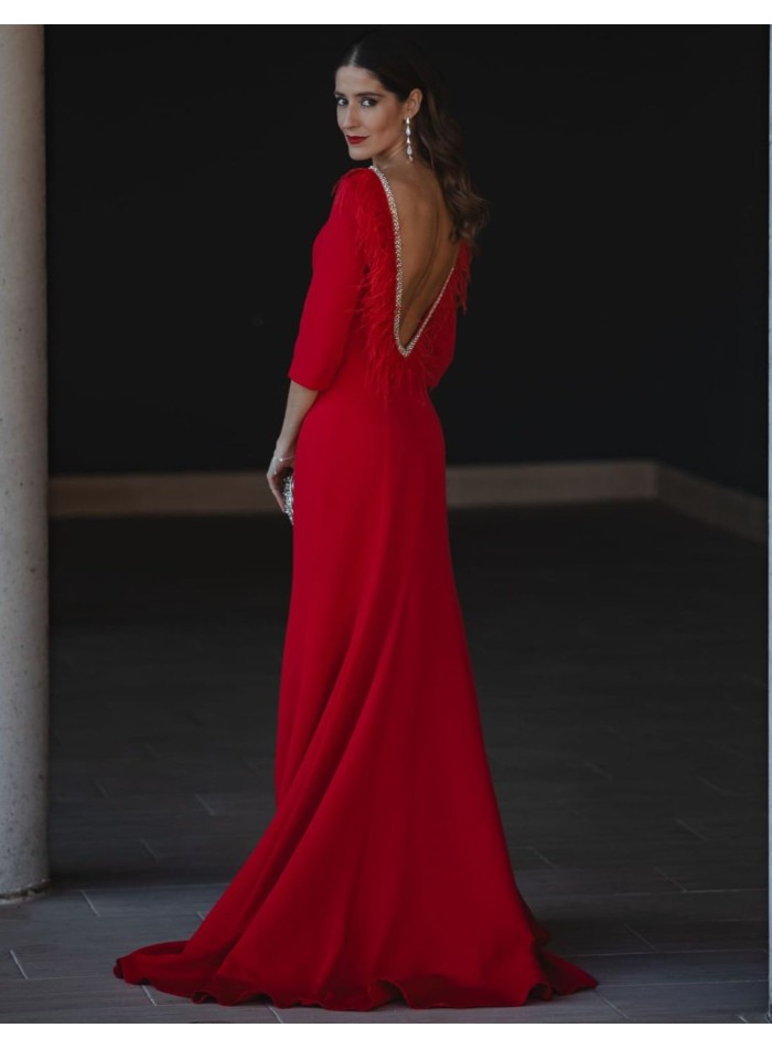 Long dress with feather and rhinestone detail on the back