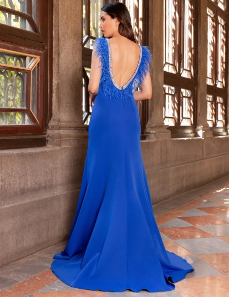 Long dress with feather and rhinestone detail on the back