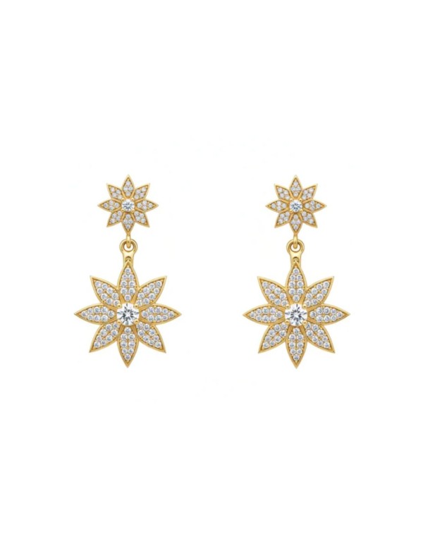Double star earrings with zirconia