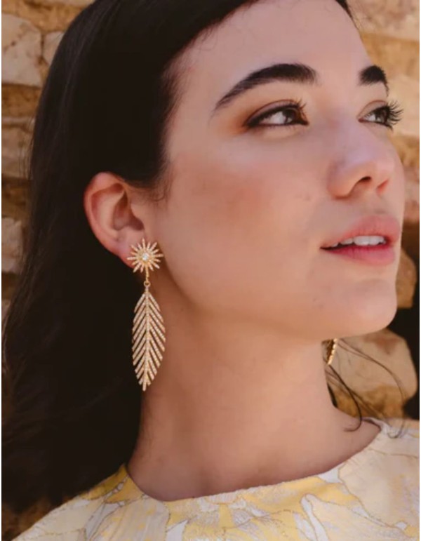 Earrings with zirconia feather design 2