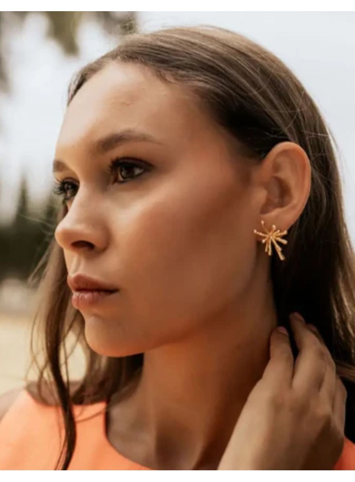 Pendientes pequeños con silueta abstracta