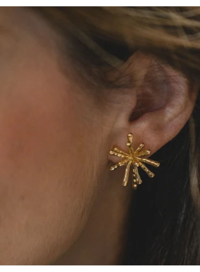 Small earrings with abstract silhouette