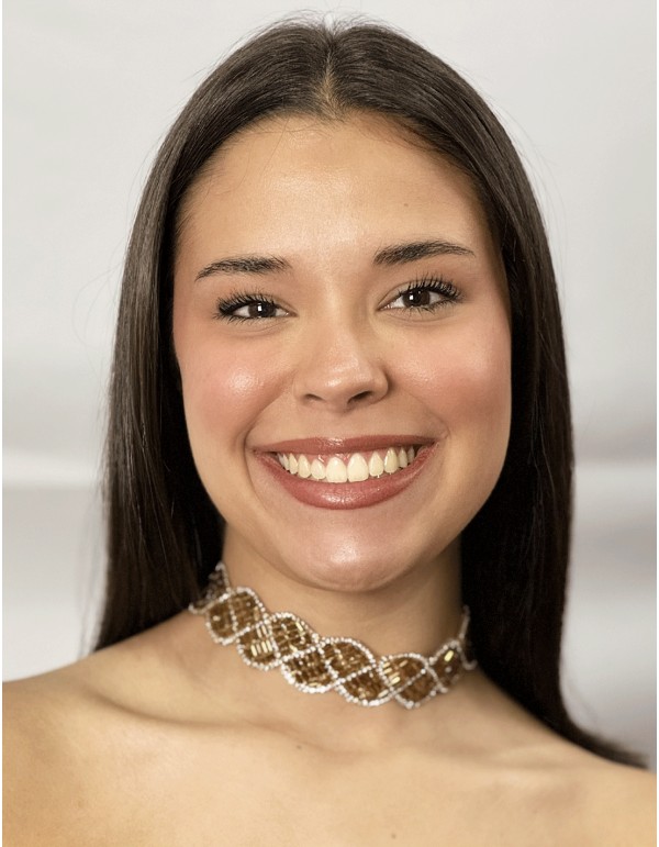 Choker de Pedrería Marrón Hecho a Mano