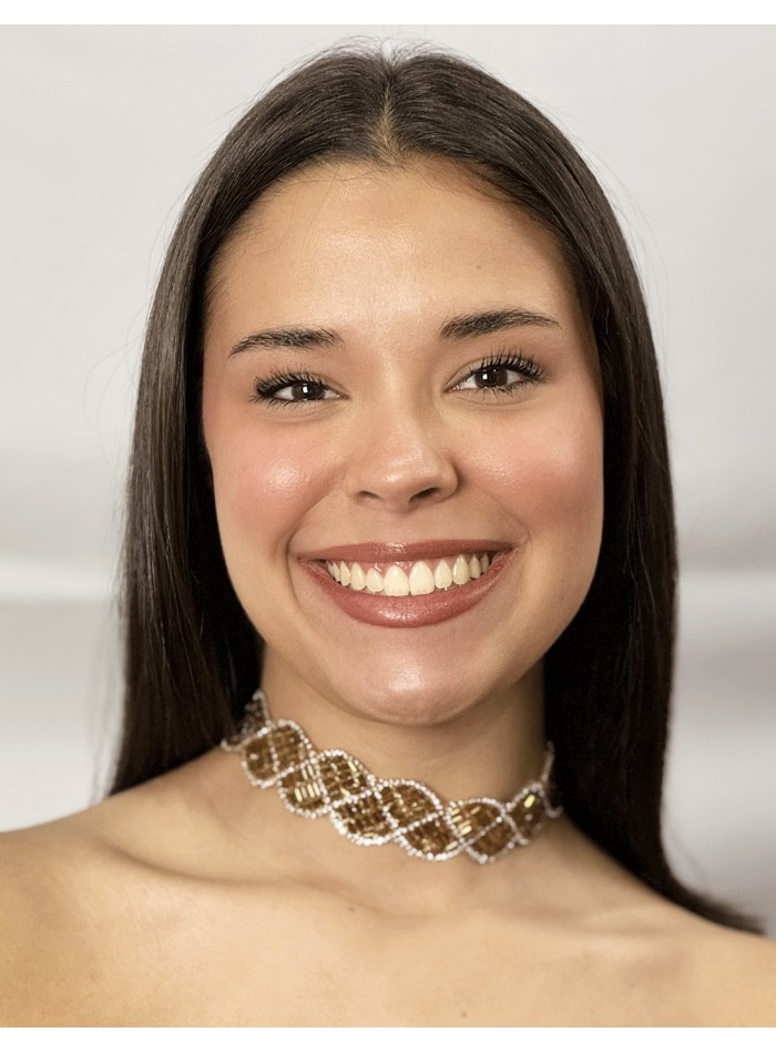 Choker de Pedrería Marrón Hecho a Mano