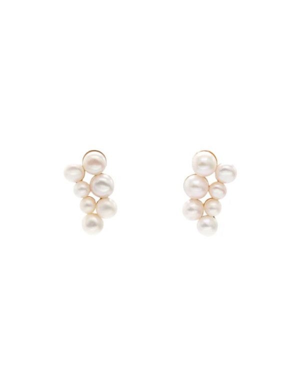 Small earrings with two columns of pearls