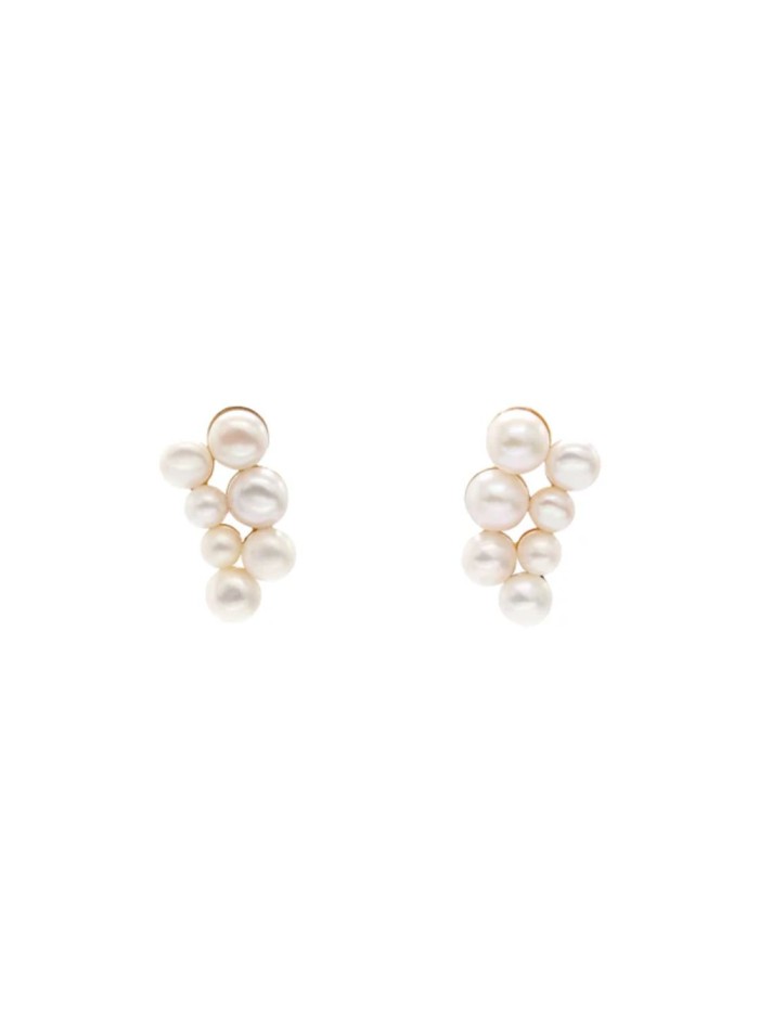 Small earrings with two columns of pearls