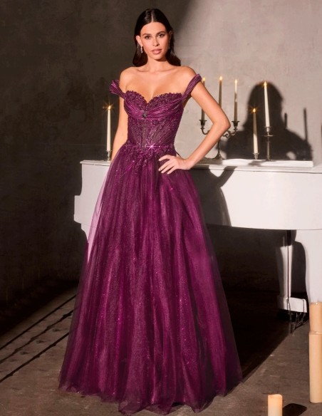 Princess dress with bardot neckline, embroidered corset and shimmering tulle skirt