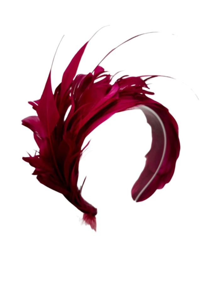 Bandeau de plumes pour l'invité en couleur marron