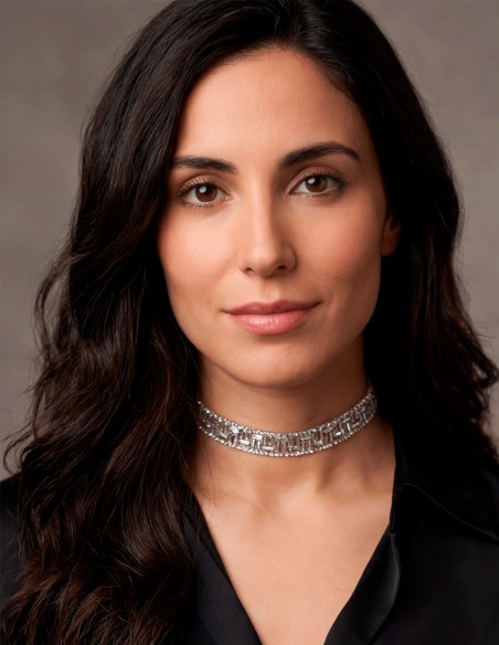 Sparkling crystal choker: the elegant choker that brightens up any guest look