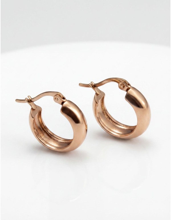 Petites boucles d'oreilles en acier inoxydable plaqué or