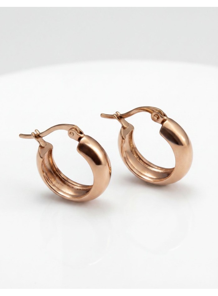 Pendientes de aro pequeños en acero con baño de oro