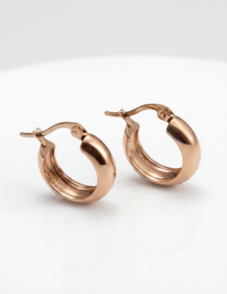 Petites boucles d'oreilles en acier inoxydable plaqué or