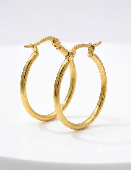 Elégantes boucles d'oreilles plaquées or