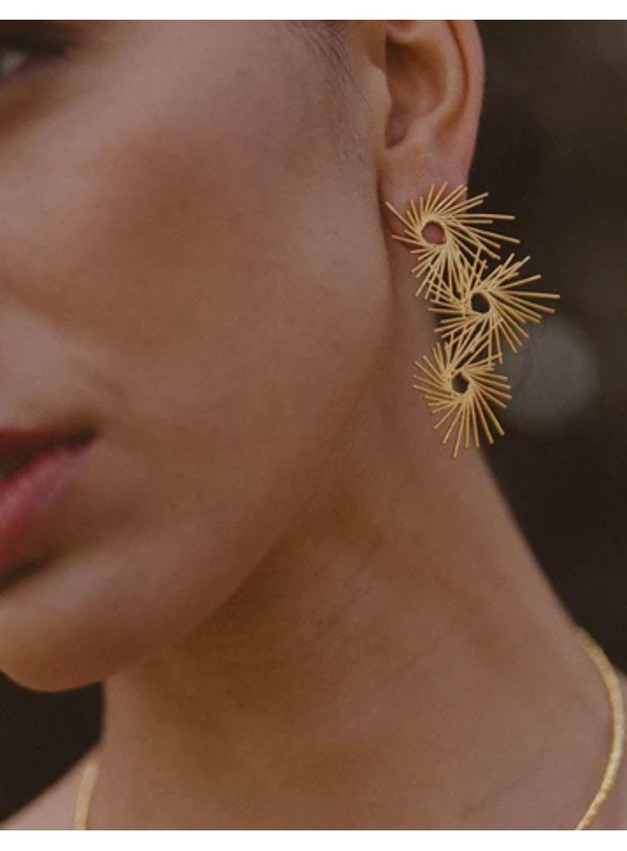 Long gold earrings with circles
