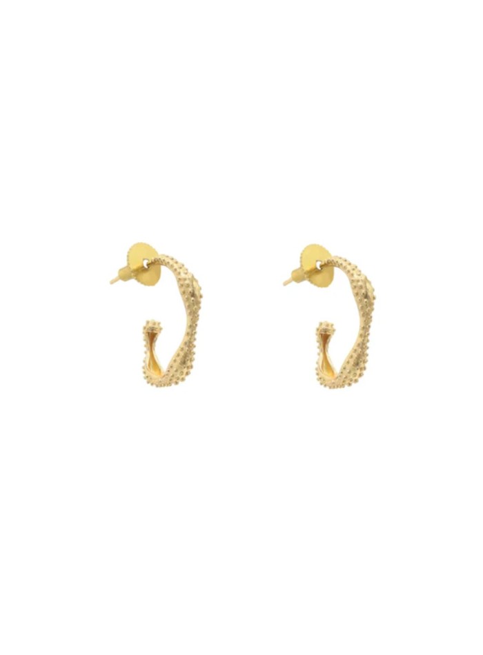 Petites boucles d'oreilles en forme d'anneaux...
