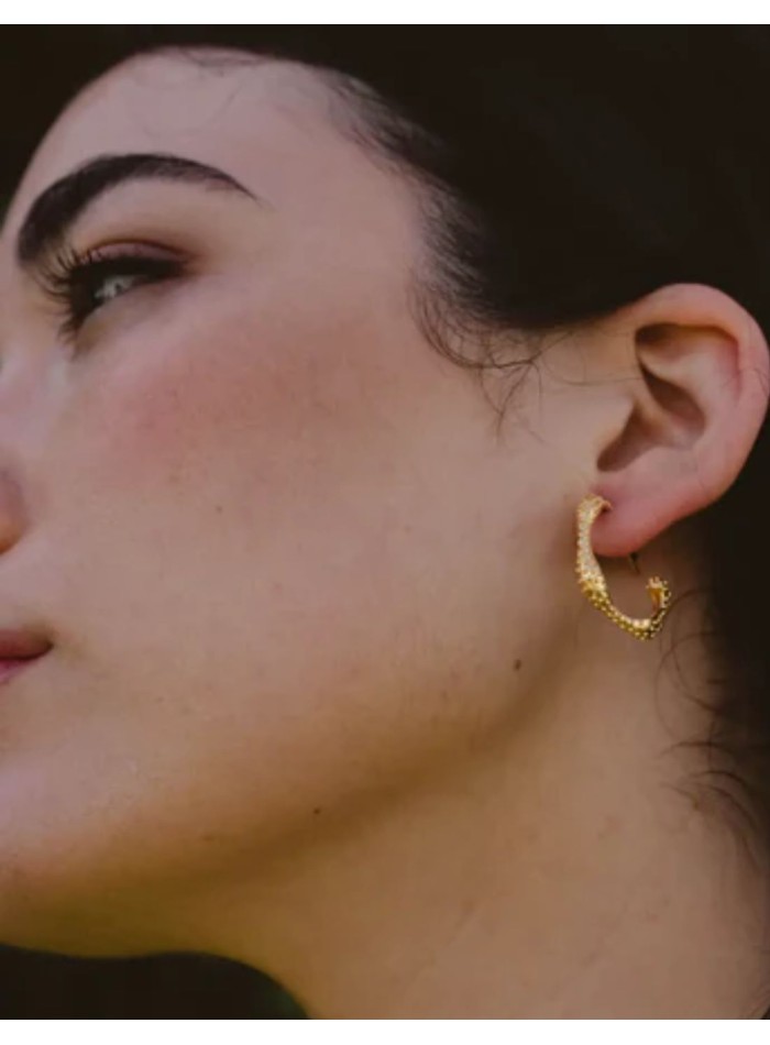 Petites boucles d'oreilles en forme d'anneaux...