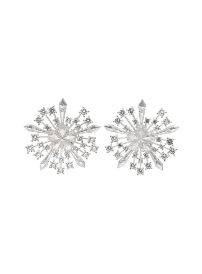 Boucles d'oreilles en argent avec des...