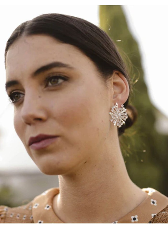 Silver earrings with circle-shaped cubic...
